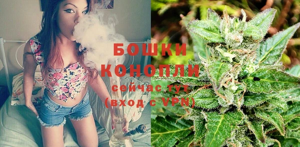каннабис Богданович