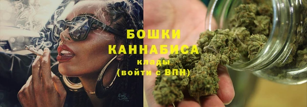 трава Белокуриха